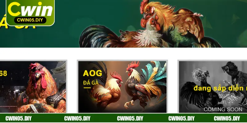 Tham gia cá cược trải nghiệm hàng đầu